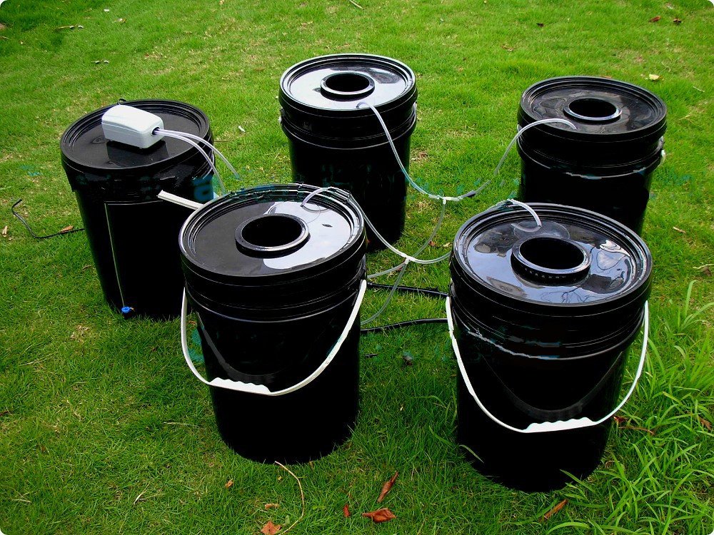 GOWE 4 Site Hydroponic Cloning Bucket - 20L Deep Water Culture (DWC) System for Plant Propagation - Perfect for Indoor Gardening, Herb Cultivation, and Hydroponic Seed Starting