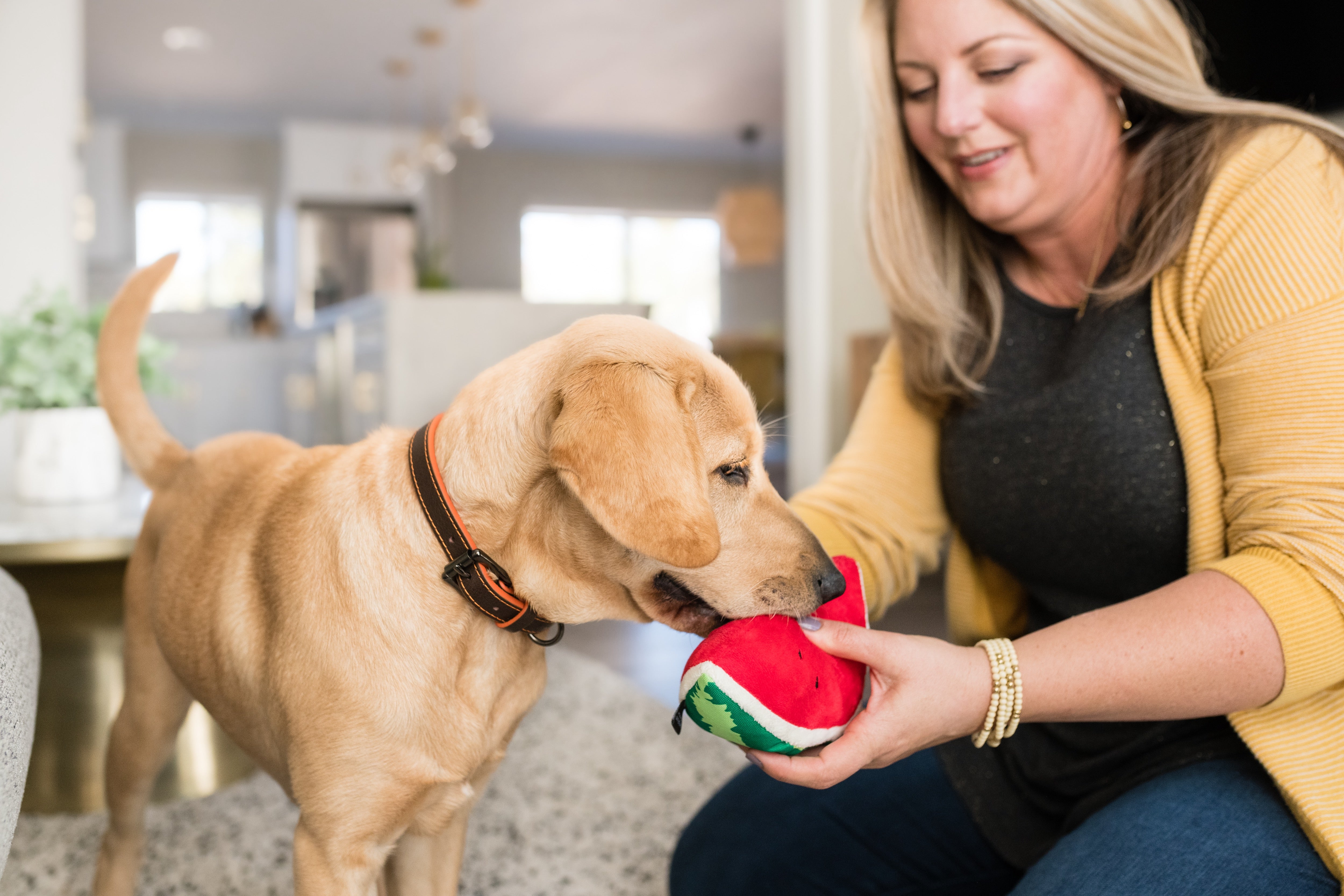 Tropical Paradise™ Watermelon Dog Plush Toy - Durable & Fun Chew Toy for Small & Large Dogs | Perfect for Playtime, Training & Cuddling | Pet P.L.A.Y.