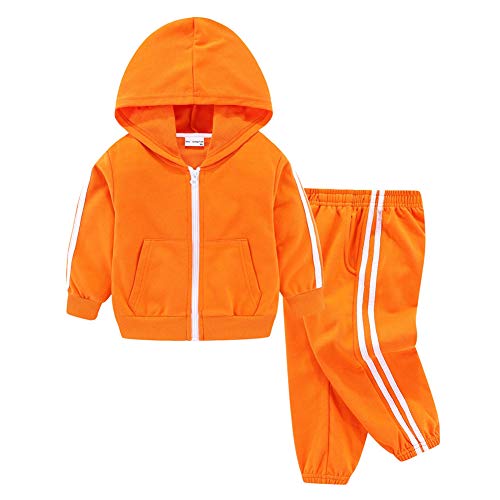 Hooded Orange