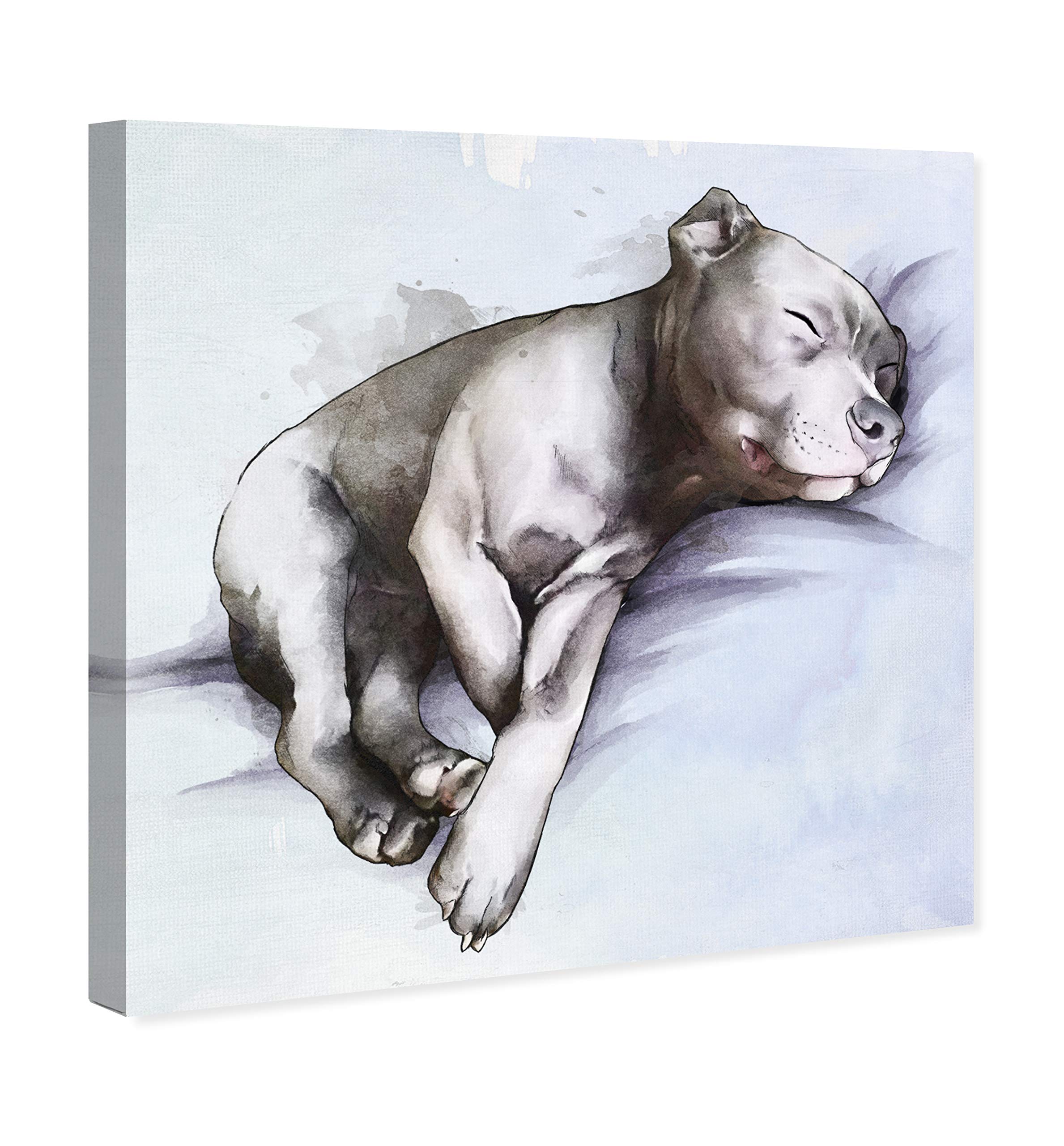 Sleeping Pitbull Wall Art Canvas Print - 30x30 Inches Gray & Blue Animal Home Decor by Oliver Gal Artist Co. - Perfect for Living Room, Bedroom & Office Decor