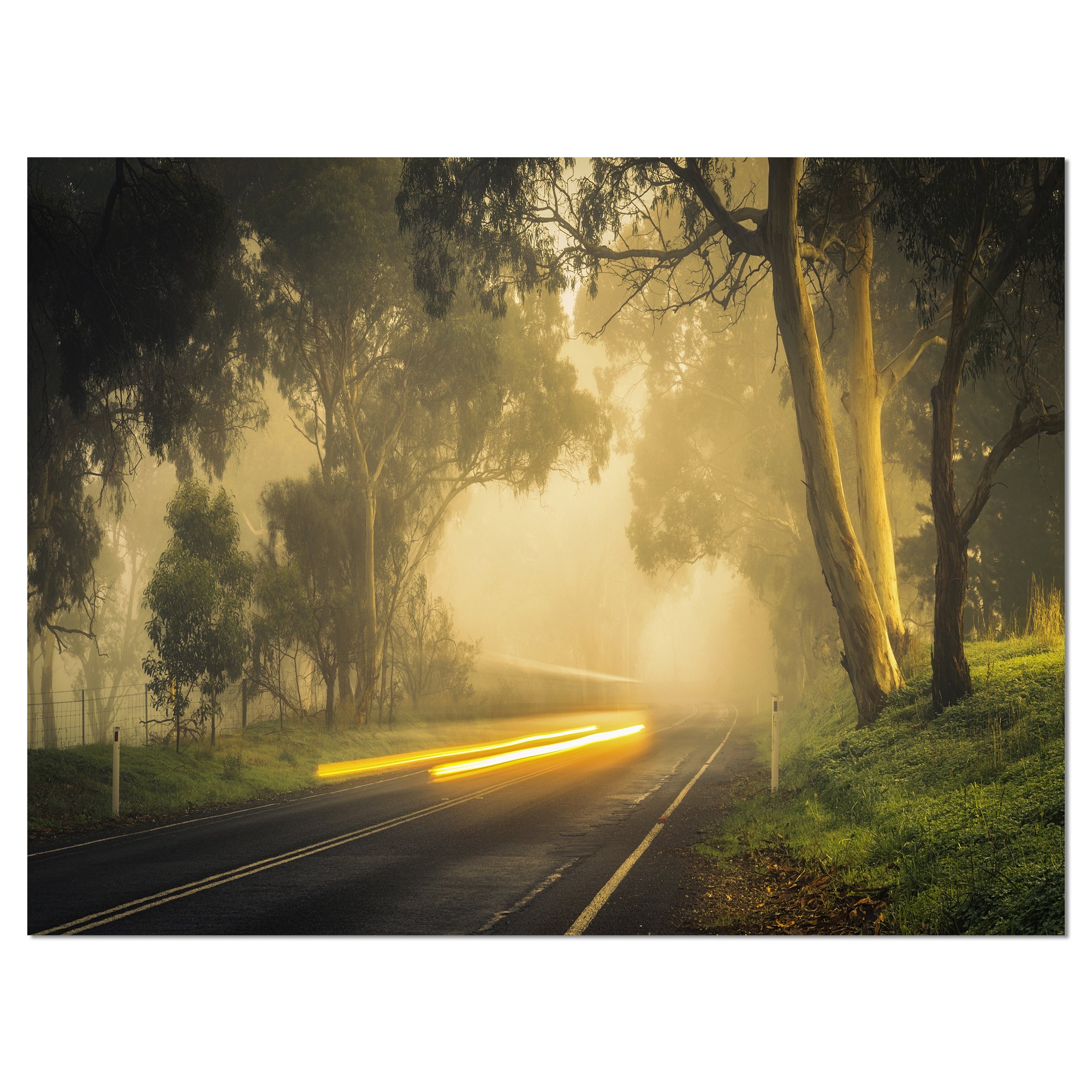 Country Drive Landscape Photography Canvas Art Print - Scenic Road Wall Decor for Living Room, Bedroom & Office