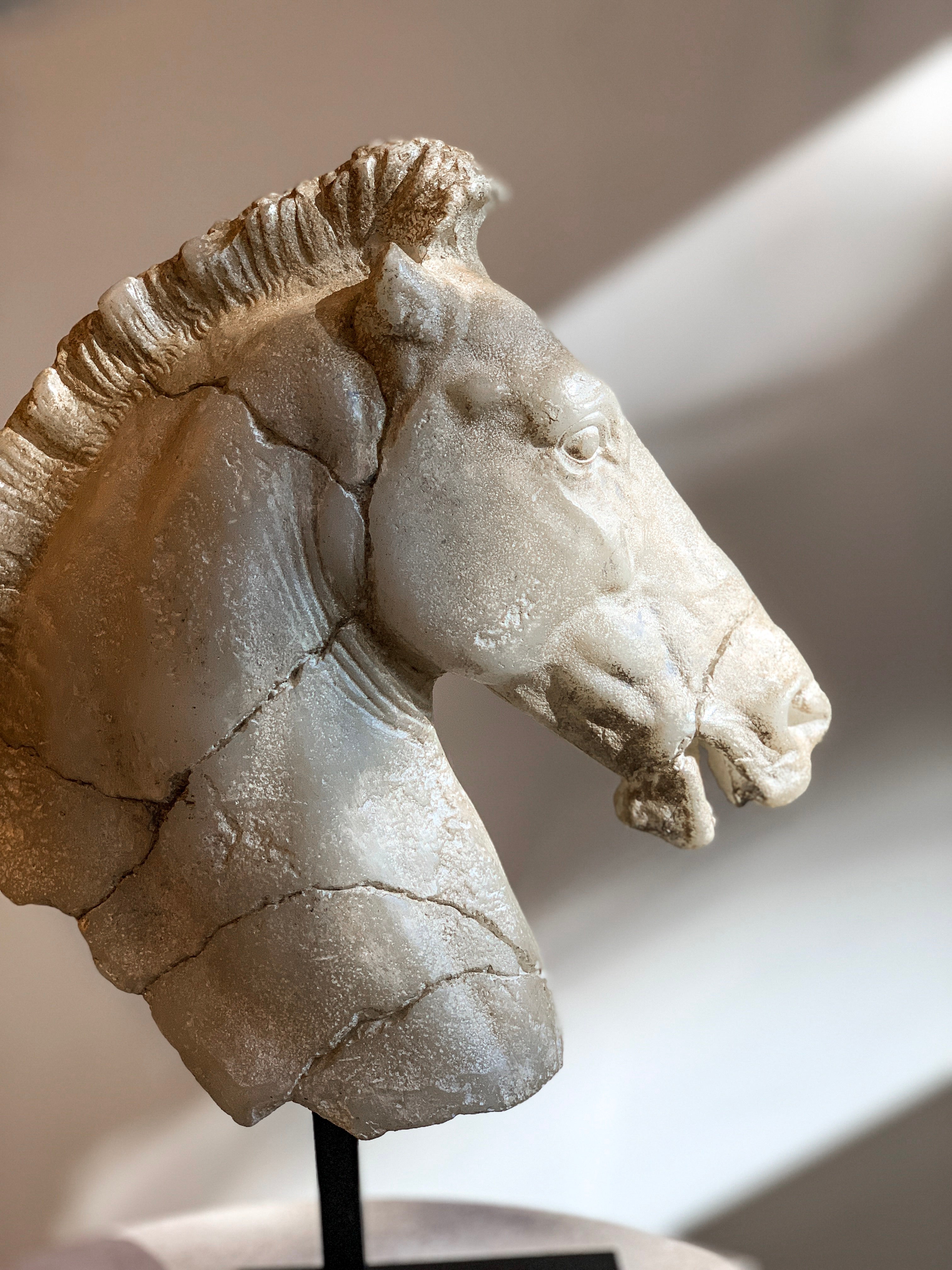 Monti's Elegant Horse Head Sculpture - Handcrafted Home Decor Statue for Living Room, Office & Garden | Perfect Gift for Equestrian Lovers