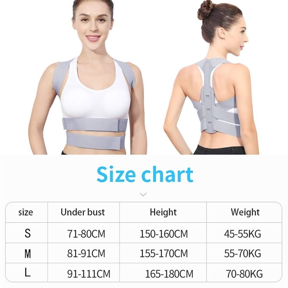 Adjustable Back Posture Corrector Belt - Clavicle, Spine & Shoulder Support - Lumbar Posture Correction Brace (Large, Purple) - Ideal for Office Work, Driving & Pain Relief