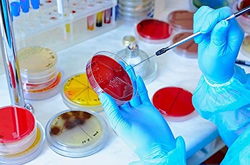 ECNEICS 75mm Borosilicate Glass Petri Dish - Pack of 1 | Lab-Grade for Scientific Experiments, Microbiology, Cell Culture & Classroom Use