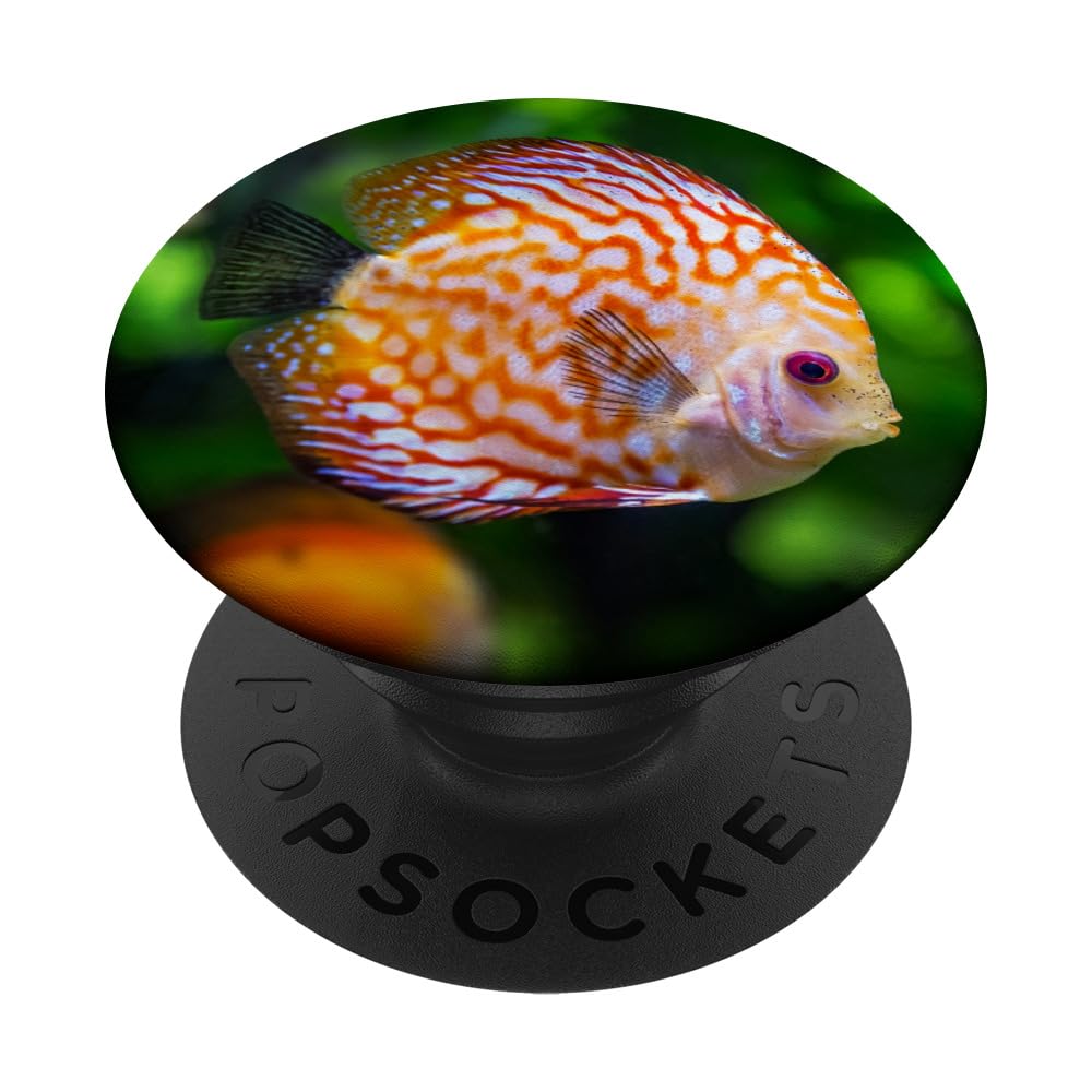 Vibrant Amazon River Discus Fish PopSocket Grip - Swappable Phone & Tablet Accessory for Fish Lovers, Perfect for Home, Office, and Outdoor Adventures
