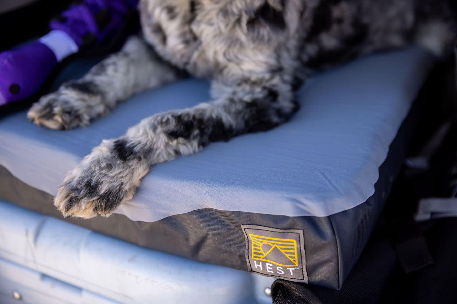 HEST Medium Dog Bed - Waterproof & Dirt Resistant Portable Outdoor Dog Mattress 36