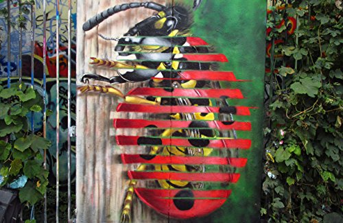 Insect Invasion