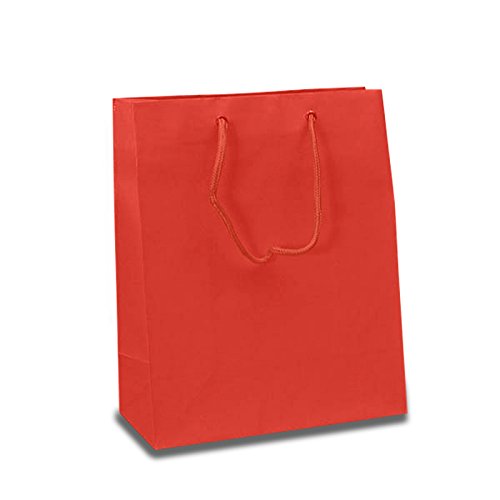 100 Pack Red Matte Euro Bags with 8