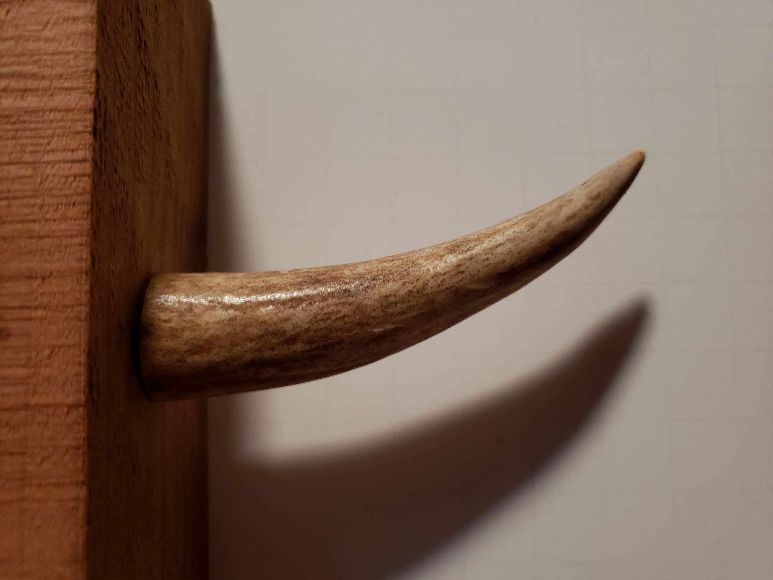 Premium Real Antler Tip Wall Hooks - 3 Pack for Screwing into Wood or Drywall - Perfect for Coats, Hats & Home Decor