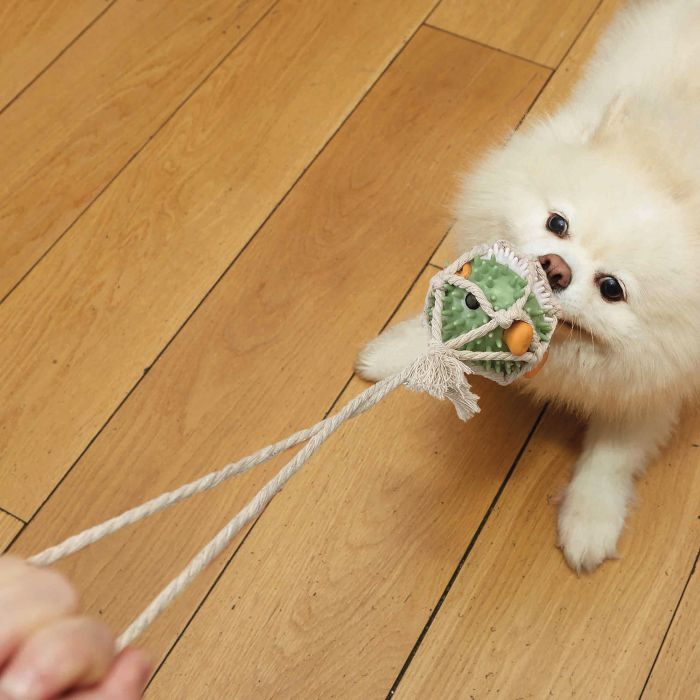 Kikkerland Kobe Pufferfish Tug Dog Toy - Durable Interactive Chew Toy for Small & Medium Dogs - Perfect for Playtime, Training & Bonding with Your Pet