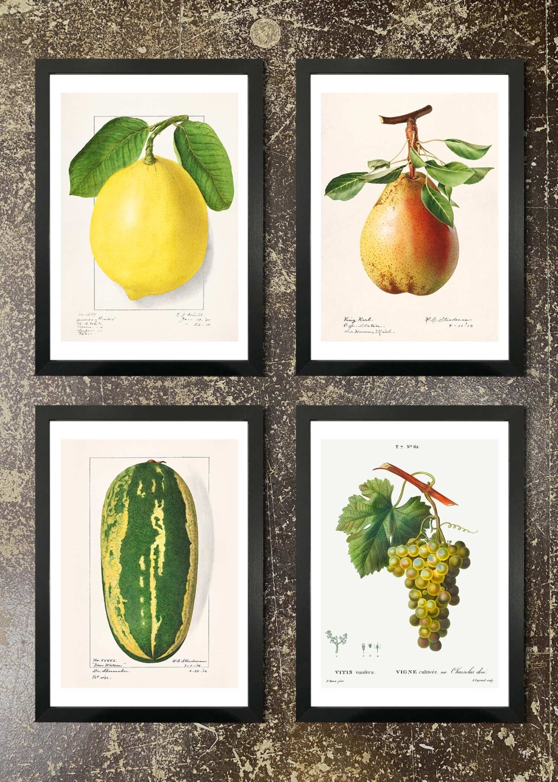4 Large Fruit Art Prints with Frames - Wall Decor for Kitchen, Dining Room & Living Room - Modern Home Decor & Housewarming Gift