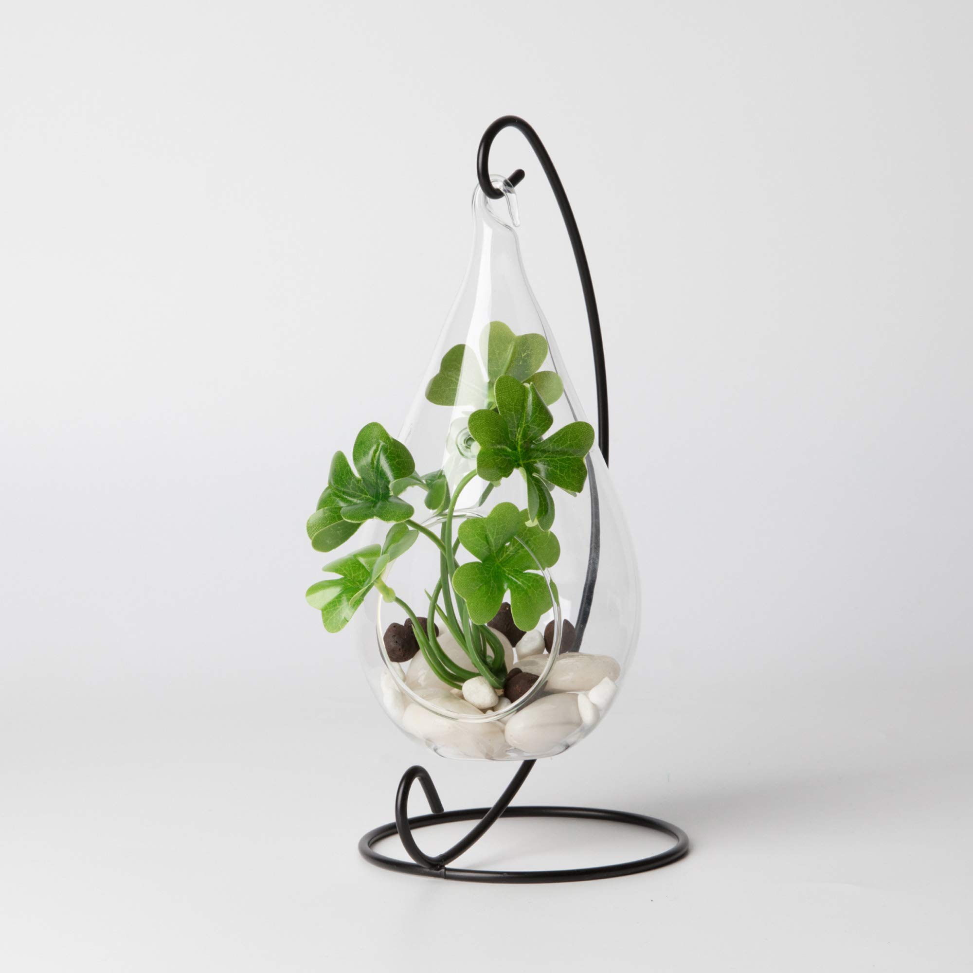 WGV Glass Hanging Plant Terrarium - 3.5