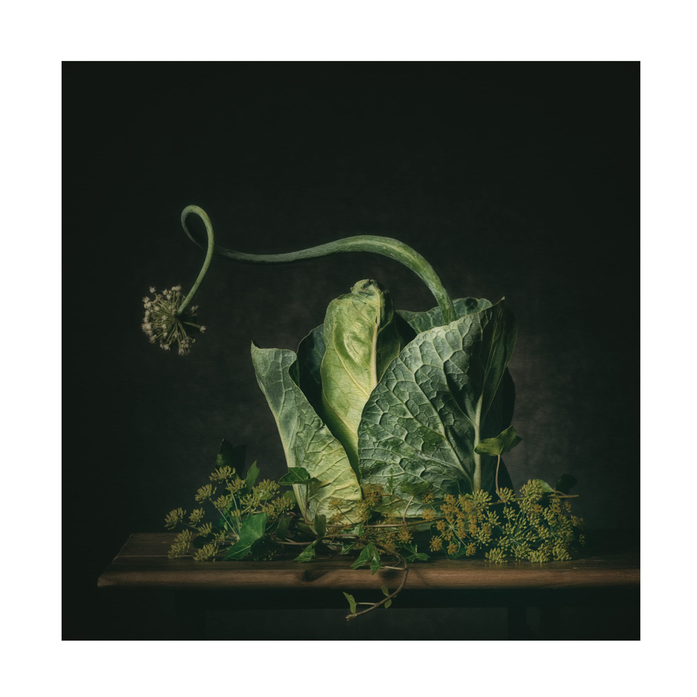 Trademark Fine Art 'A Green Fairytale' Canvas Wall Art by Monique Van Velzen - Nature Inspired Home Decor for Living Room & Bedroom