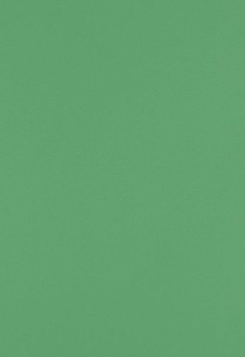 Holiday Green