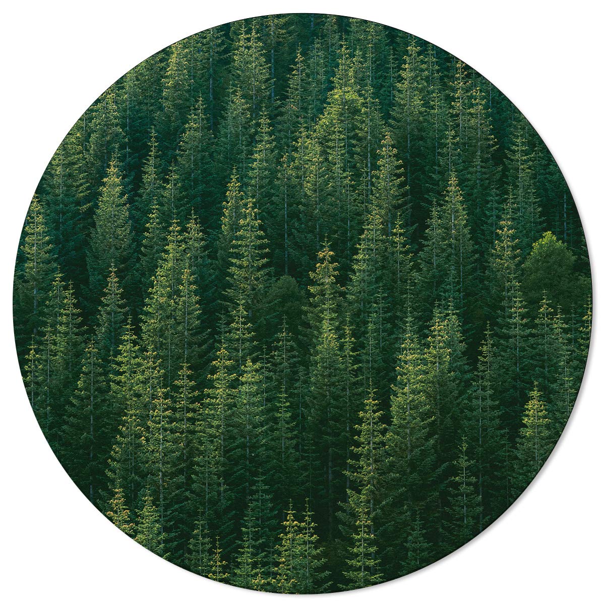 Green Forest Tree Round Area Rug 6ft - Non-Slip Nature Themed Carpet for Kids Room, Living Room, Bedroom & Nursery | Indoor/Outdoor Décor Rug for Cozy Home & Play Areas