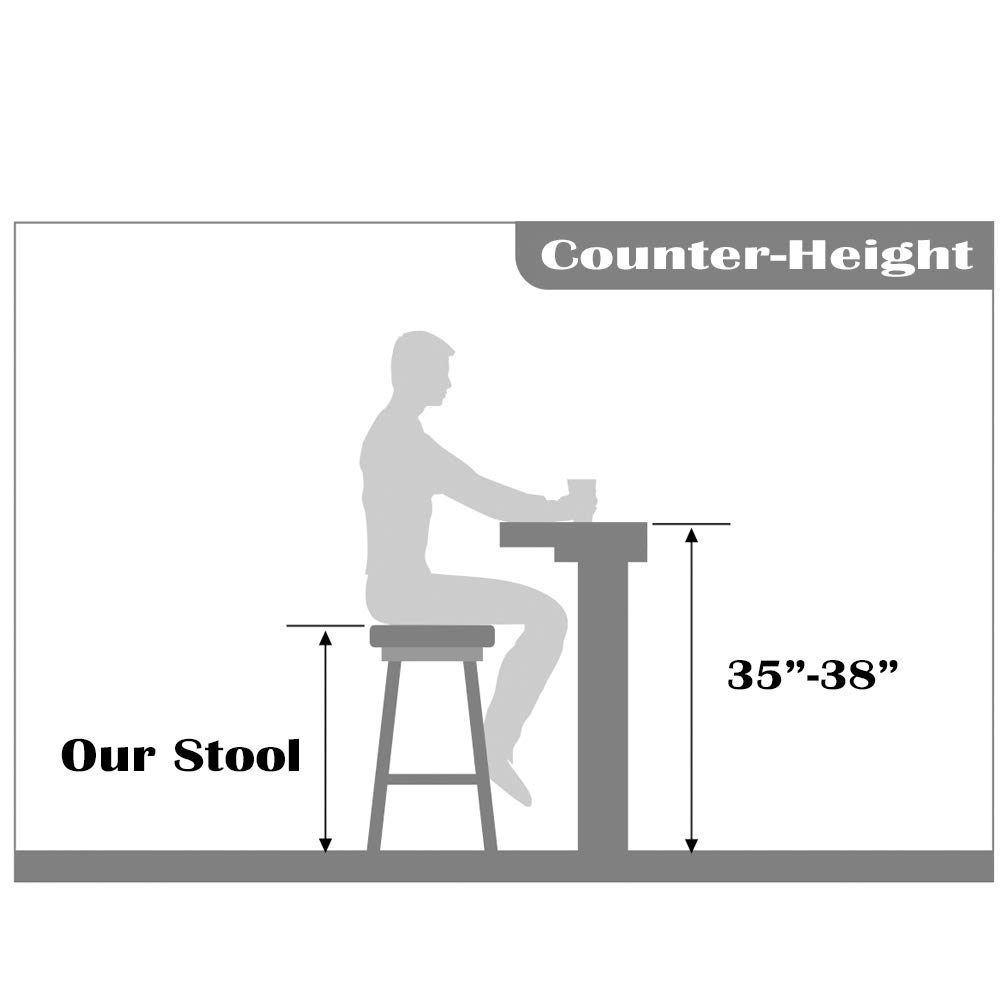 Modern Contemporary Acrylic Lucite Clear Counter Stool with Back - Black Kitchen Bar Stool for Dining Counter, Breakfast Nook & Home Decor - Set of 1
