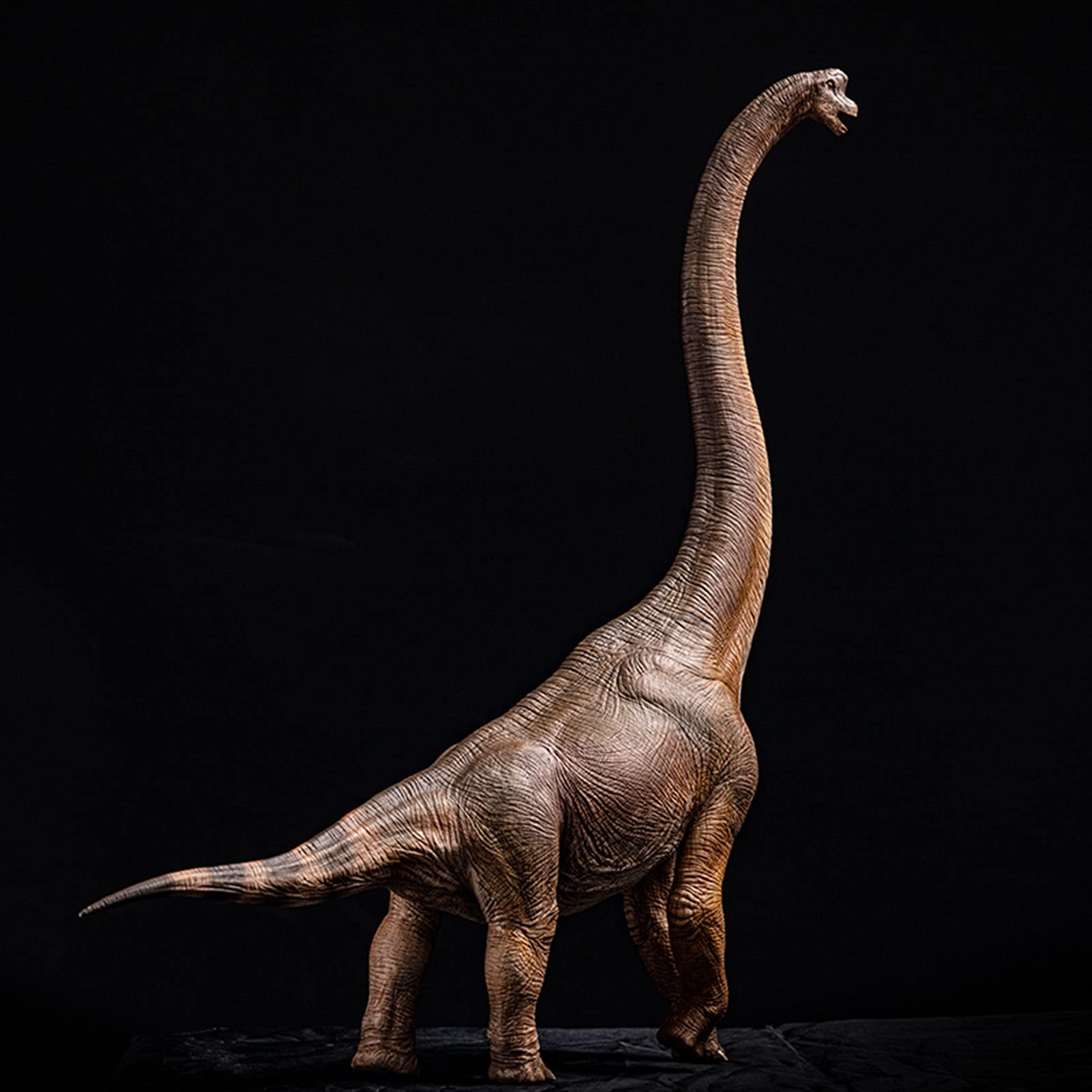 HTian 1/35 Scale Brachiosaurus Giraffatitan Dinosaur Toy Model - Highly Detailed Museum-Quality Dinosaur Sculpture for Kids, Collectors & Dinosaur Enthusiasts | Perfect Gift for Boys, Home Decor & Educational Play