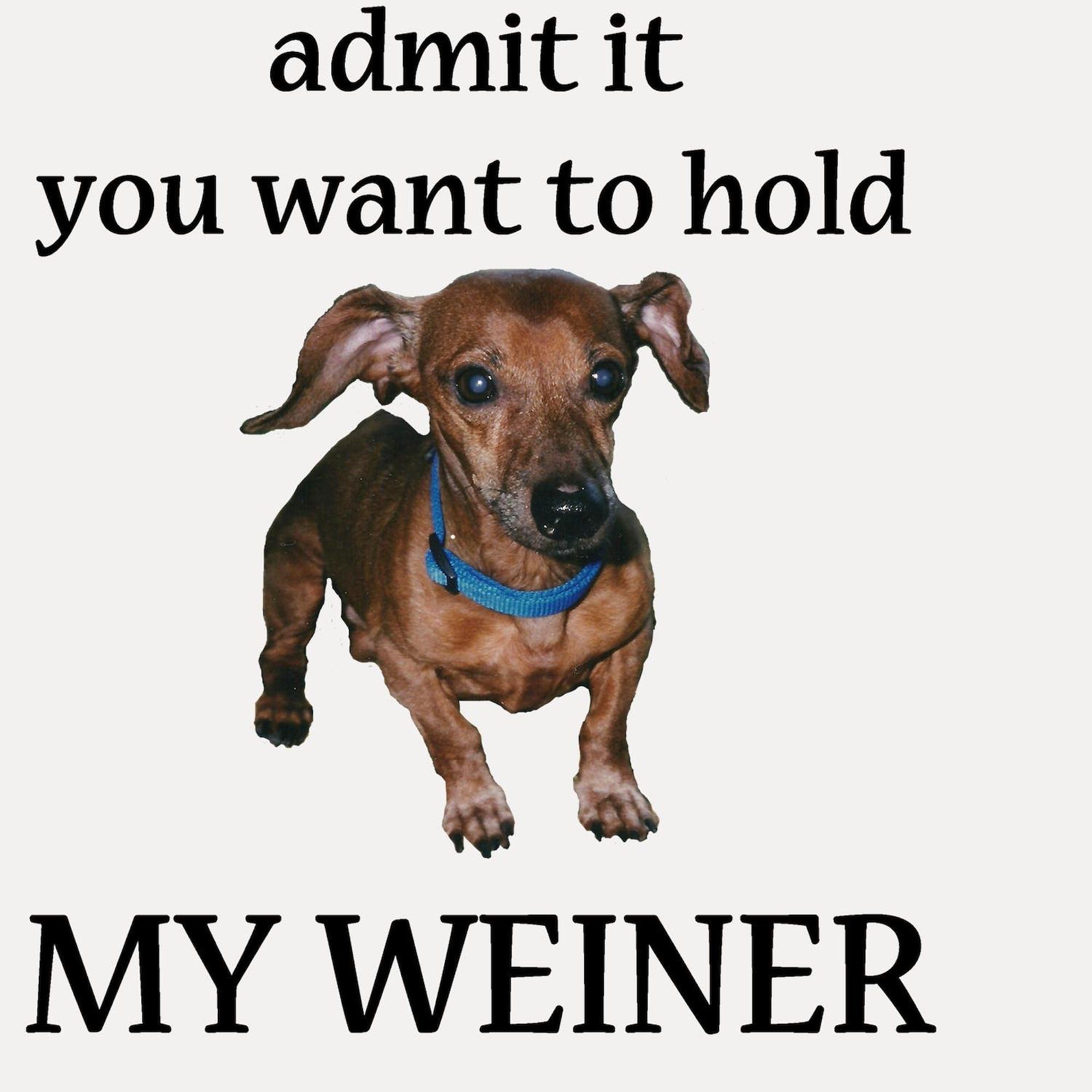 Funny Hold My Weiner Shot Glass - Unique Novelty Drinking Cup for Parties, Gifts & Bachelor Celebrations