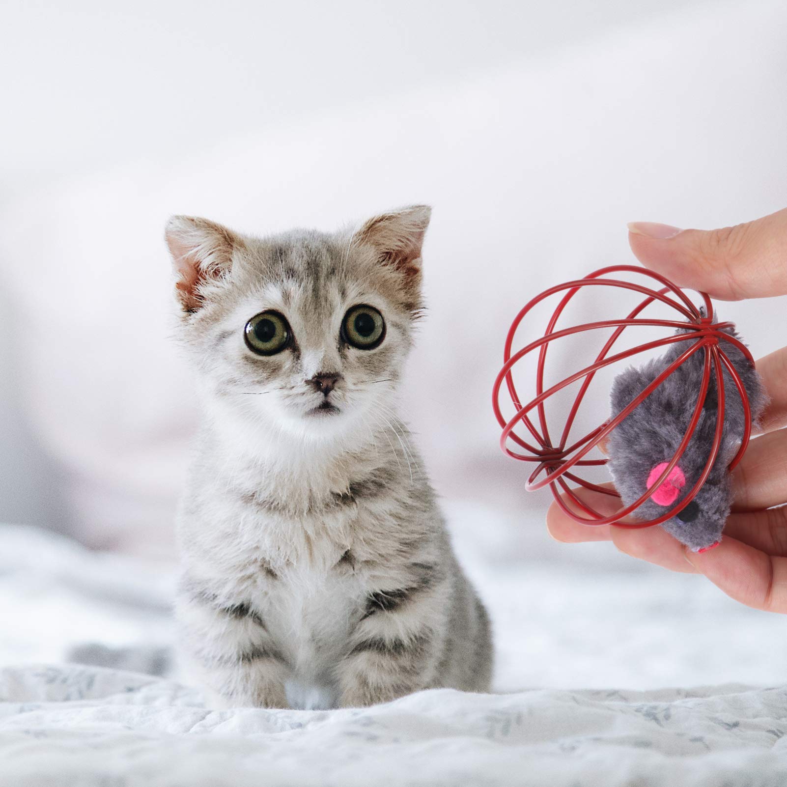 Balacoo 5Pcs Interactive Cat Toys - Caged Mouse Exercise Toys for Kittens, Teething Chew Toys for Puppies, Plush Rolling Ball Indoor Playthings for Cats | Fun Pet Toys for Exercise, Hunting & Mental Stimulation