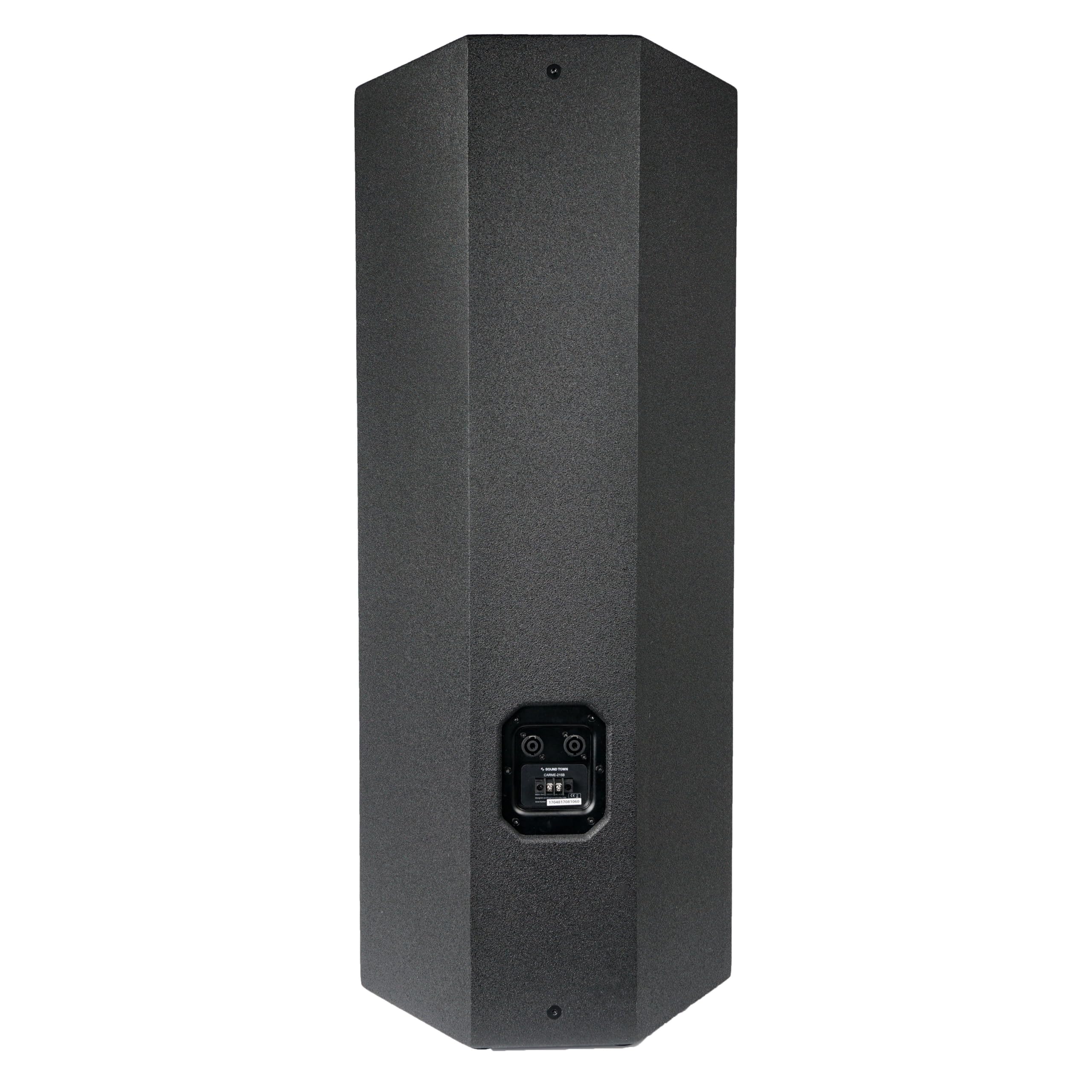Sound Town CARME Series Dual 15