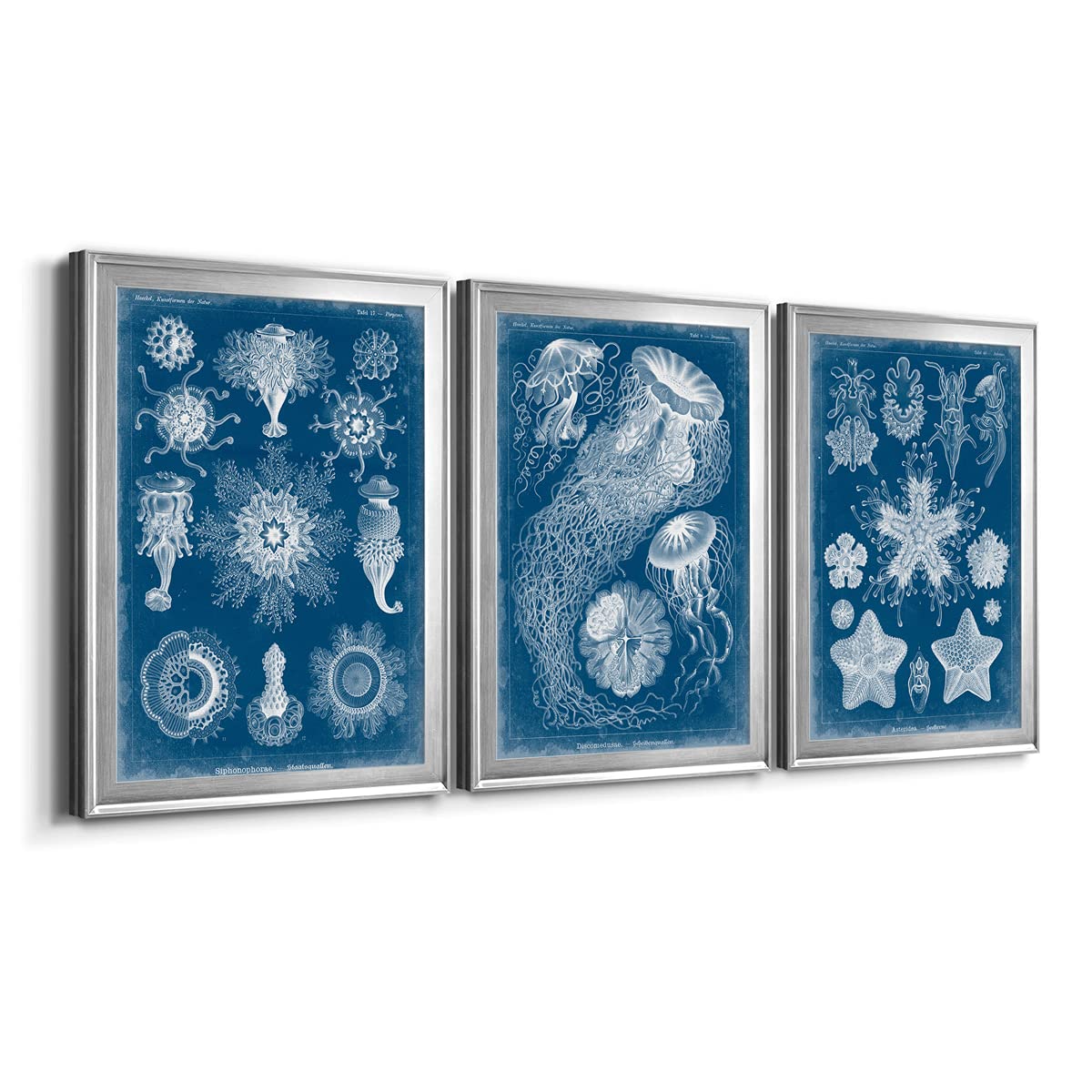Renditions Gallery Wall Décor Set - 3 Piece Silver Framed Canvas Art (18x24 Inches) - Bathroom Wall Art, Lifestyle & Travel Inspired - French Country & Cottage Style - Marine Blueprint Design - Perfect for Living Room, Bedroom or Office Decor