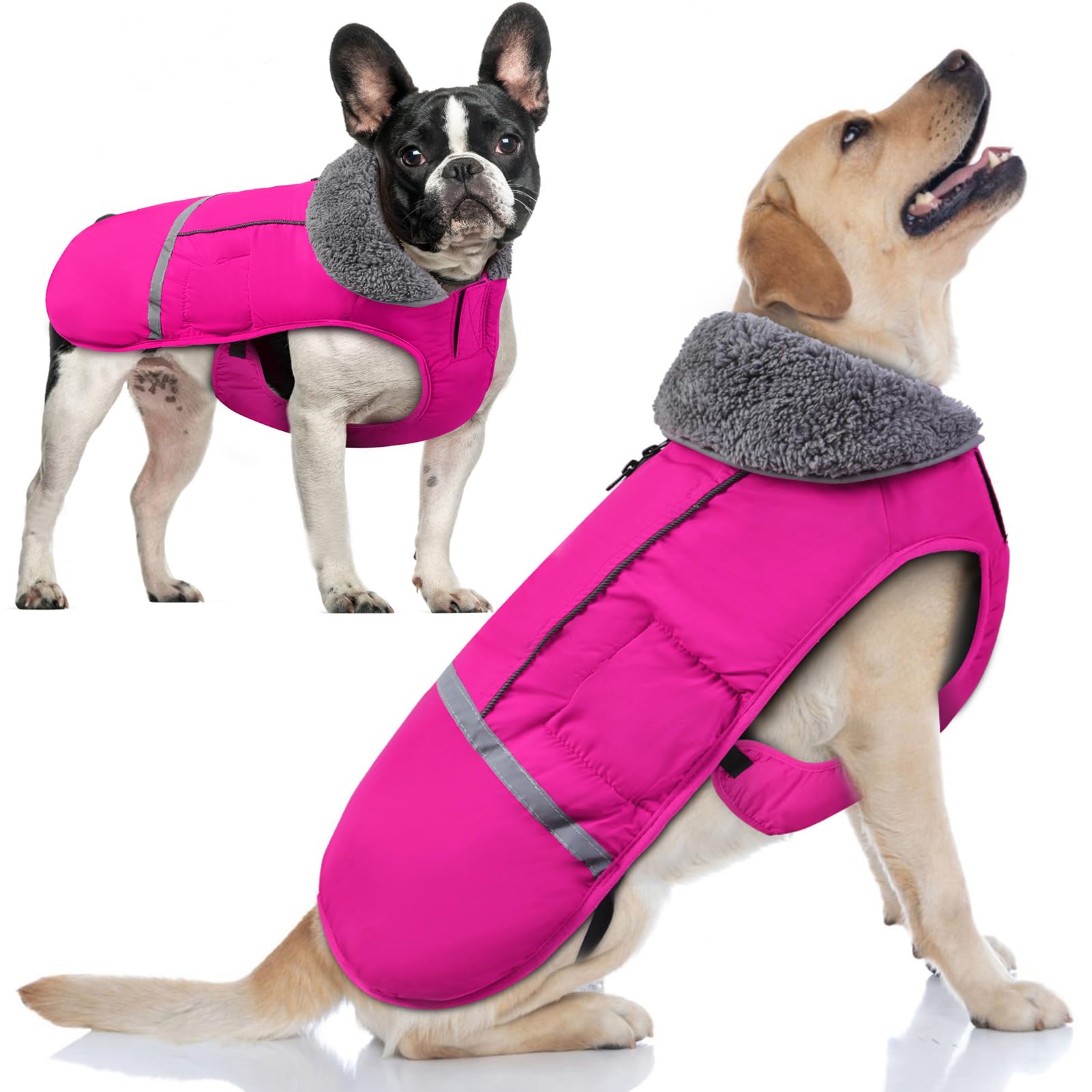 **Doglay Waterproof Dog Coat - Reflective Winter Jacket with Warm Fleece Lining & Thick Furry Collar for Small, Medium, Large Dogs - Ideal for Cold Weather, Snow & Outdoor Adventures**