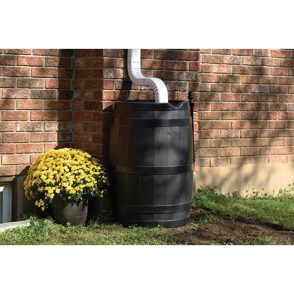 FCMP Outdoor Raincatcher 45 Gallon Water Barrel - Heavy Duty Rain Water Collection System for Garden, Lawn & Home Use
