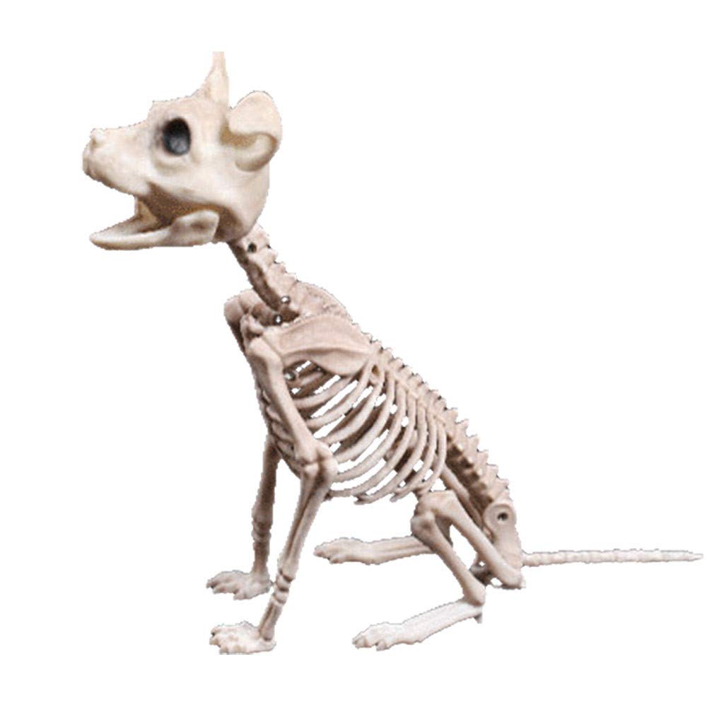 Keep Sunday Hyena Halloween Horror Decoration Props - Realistic Animal Shop Party Bones for Spooky Decor, Toddler Education & Scary Games | Perfect for Halloween Parties, Haunted Houses & Classroom Learning Activities