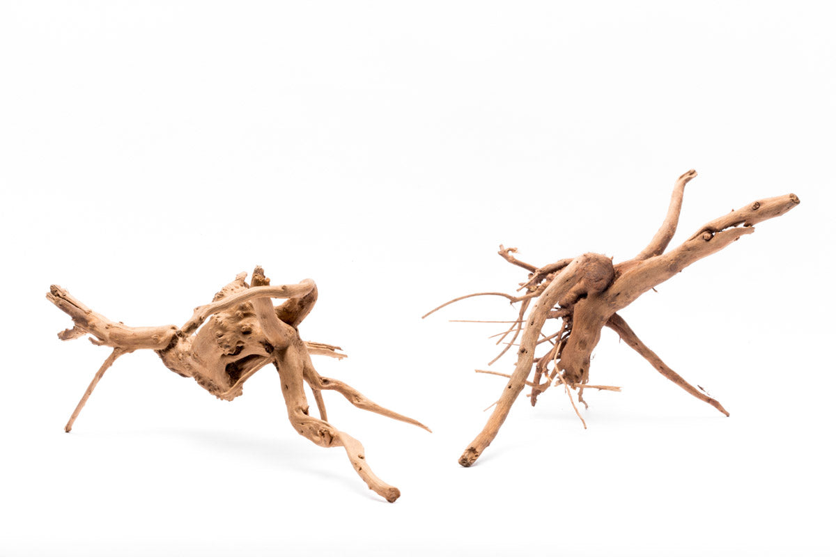Natural Spider Wood for Aquascaping - Unique Nano Driftwood for Fish Tanks, Shrimp Habitats & Reptile Terrariums - Perfect for Aquarium Decoration & Aquatic Plant Anchoring