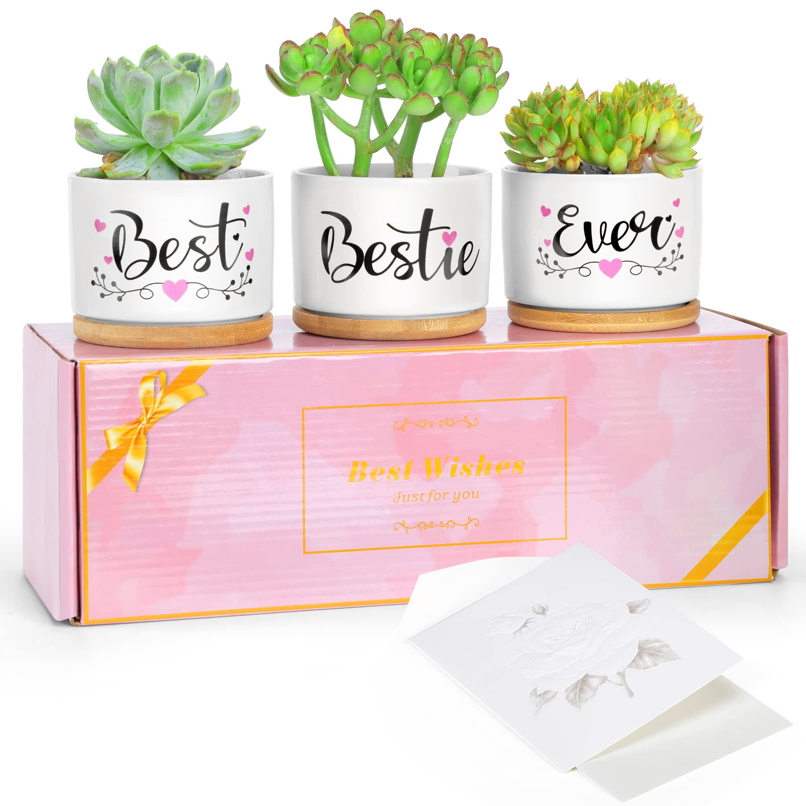 LEAZEAL 3-Pack Ceramic Succulent Pots - Best Friend Birthday Gifts for Women, Sister Gifts, Retirement Presents | Indoor Plant Containers for Home & Office Decor (Plants Not Included) - Perfect for Desk Decor, Housewarming, and Thoughtful Gift Giving