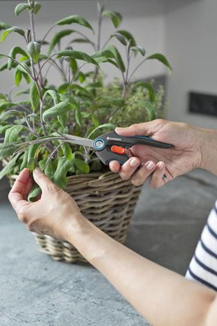 Gardena FreshCut Premium Garden Pruning Shears - Sharp Stainless Steel Blades, Ergonomic Handle for Comfortable Trimming - Perfect for Gardening, Landscaping, and Plant Care