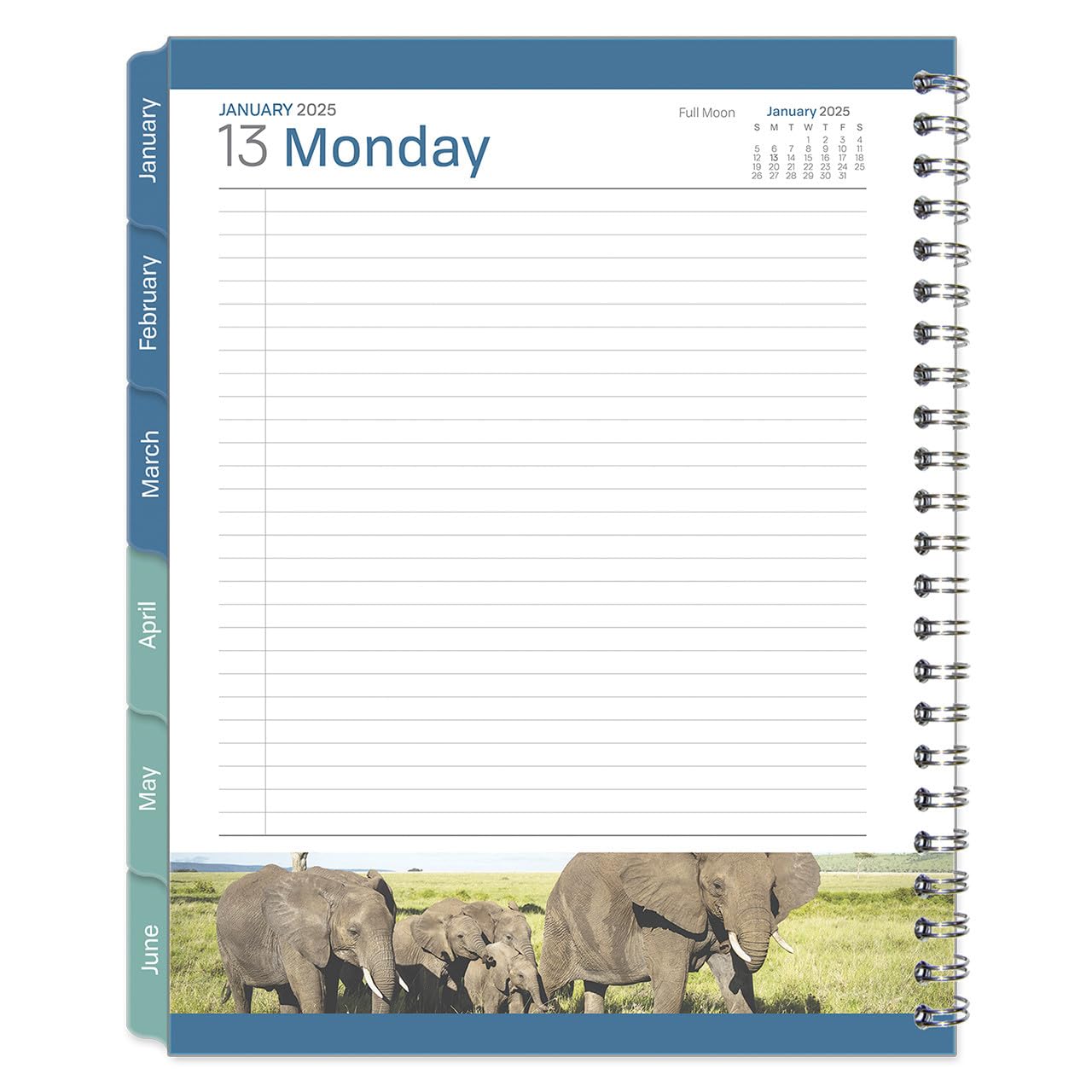 FranklinCovey 6-Month Leadership Planner - Wire-Bound Notebook (Monarch, January 2025 - June 2025) | Executive Organizer for Goal Setting, Time Management & Productivity | Perfect for Professionals, Students & Entrepreneurs
