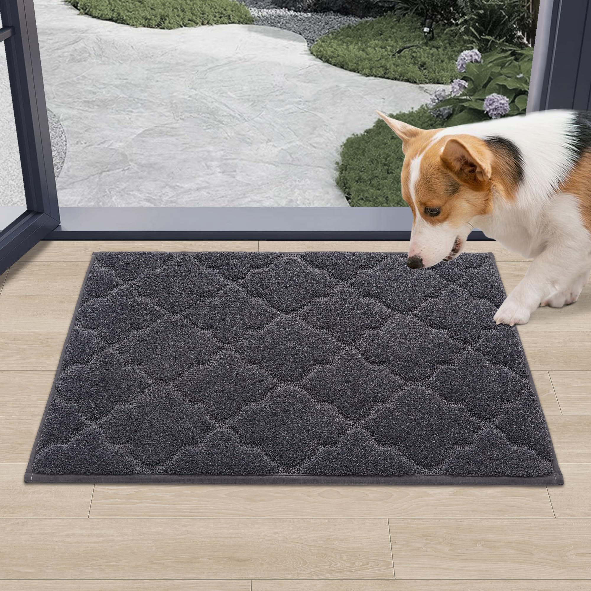 Non-Slip Washable Door Mat for Wet Shoes & Paws - 20