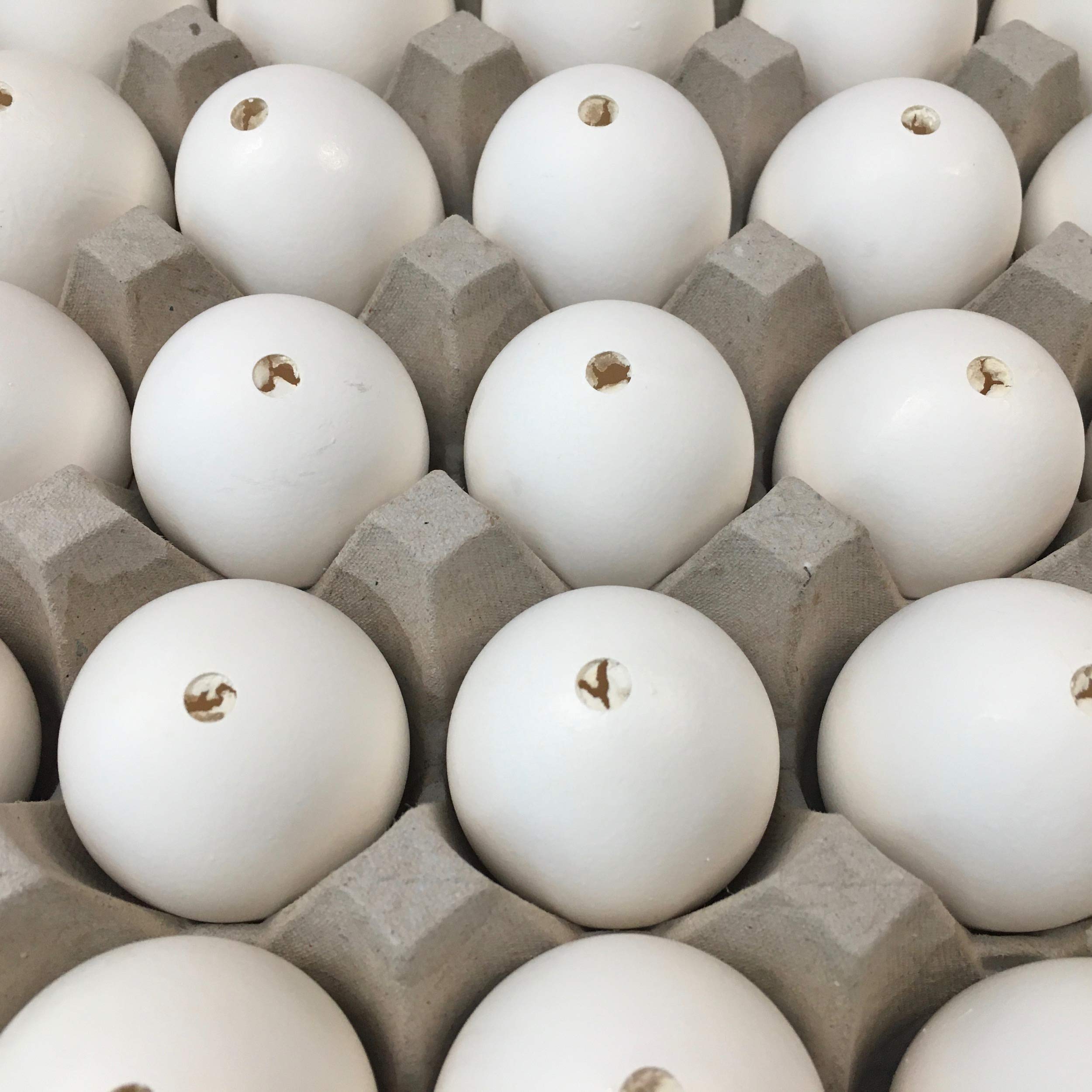 DAONEG 30 Large Blown Chicken Egg Shells - Save 2-3 Hours of Work & Reduce Mess - Perfect for Easter Decorations, DIY Crafts & Art Projects