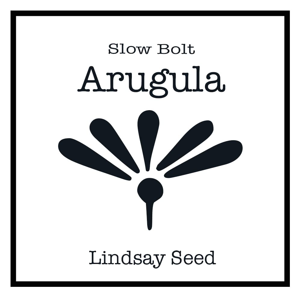 Slow Bolt Arugula Seeds - 3000 Count Non-GMO Heirloom Organic Salad Greens for Home Gardening, Microgreens & Gourmet Dishes
