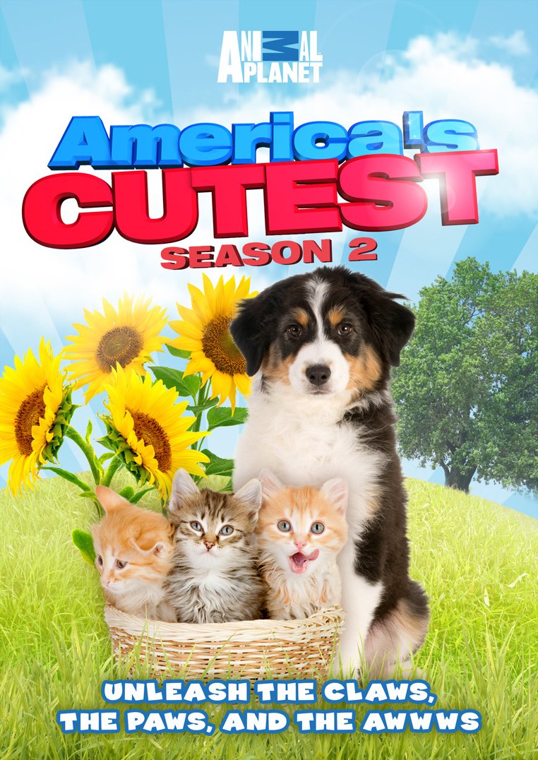 America's Cutest: Season 2 - Adorable Pet Costumes & Accessories for Halloween, Christmas & Photo Shoots