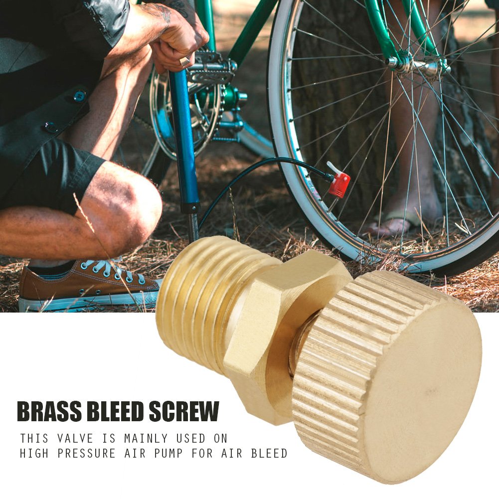 High Pressure Brass Bleed Valve Screw - Air Release Valve for Electric Pumps | Durable Accessory for Hydraulic Systems & Pressure Washers