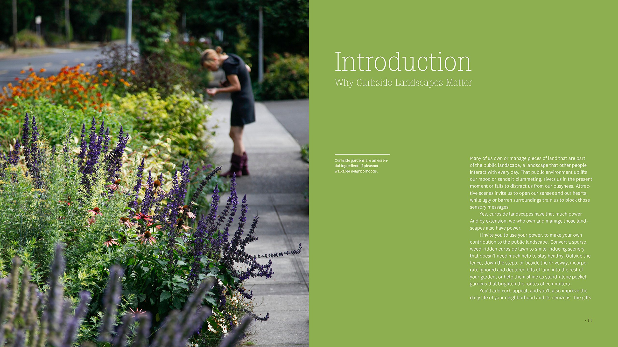 Hellstrip Gardening Guide: Create a Beautiful Paradise Between Sidewalk and Curb | Drought-Tolerant Landscaping Ideas for Urban Spaces