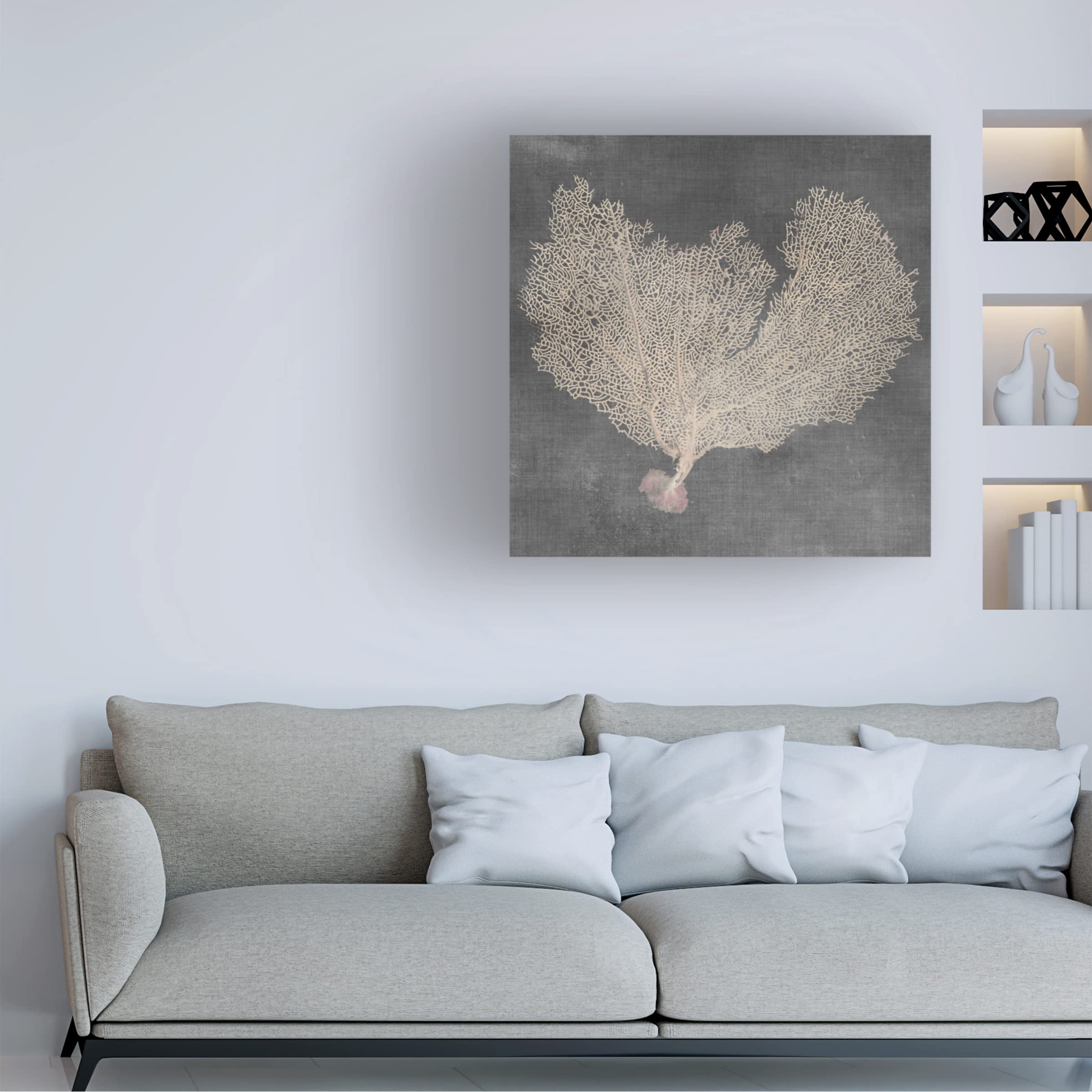 Trademark Fine Art 'Natural Sea Fan VI' Canvas Wall Art by Vision Studio - Perfect for Living Room, Bedroom & Office Decor