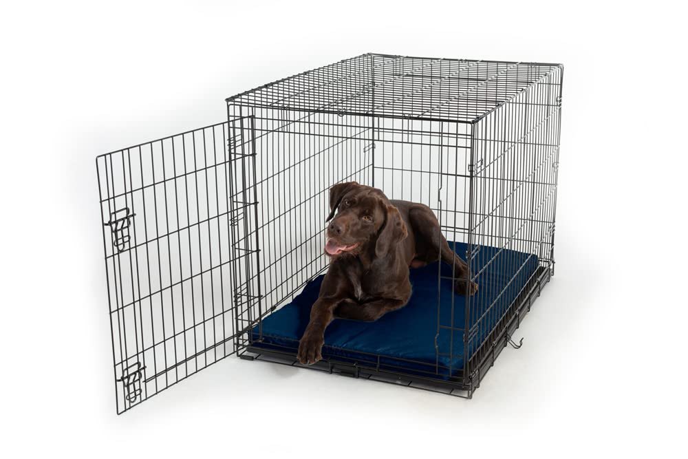 Snoozer Microsuede Dog Crate Pad - Soft & Comfortable Pet Bed Mat for Medium Crates - Sapphire Blue - Perfect for Home, Travel & Vet Visits