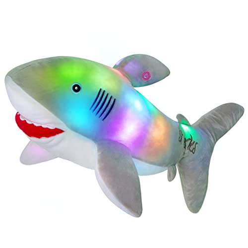 Gray Shark