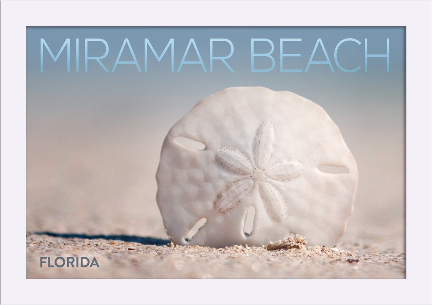 Miramar Beach Florida Sand Dollar Art Print - 12x18 Giclee Fine Art on Recycled Wood Frame, White - Coastal Wall Decor for Beach House, Living Room & Office