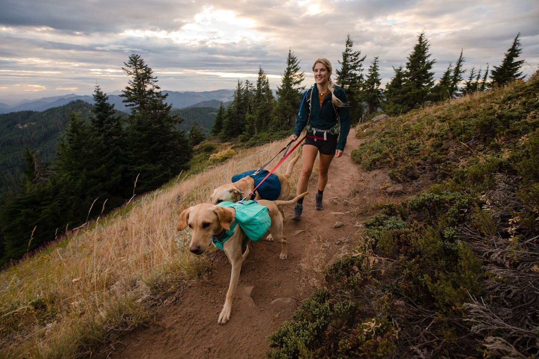 Ruffwear Front Range Dog Pack - Red Clay Hiking Backpack for Dogs | Durable & Adjustable Canine Daypack for Outdoor Adventures, Camping & Daily Walks