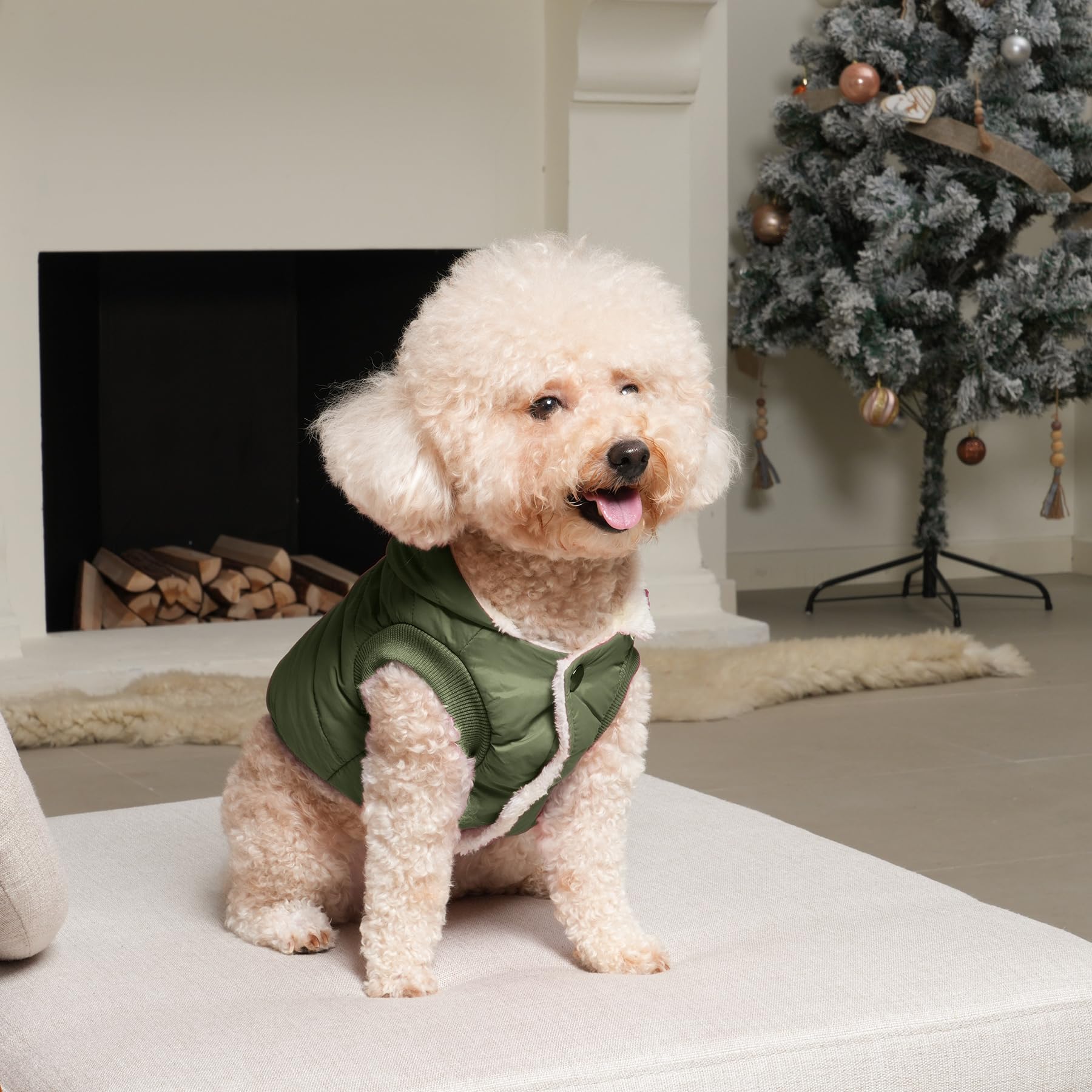 Extra Warm Winter Dog Hoodie Jacket for Large Dogs - Green XXL Pet Coat with Hood | Cozy Outdoor & Indoor Wear for Cold Weather
