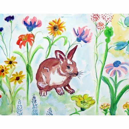 Whiskers Cat-Themed Door Mat - Small Non-Slip Welcome Mat for Indoor/Outdoor Use - Perfect for Entryway, Front Door, or Patio
