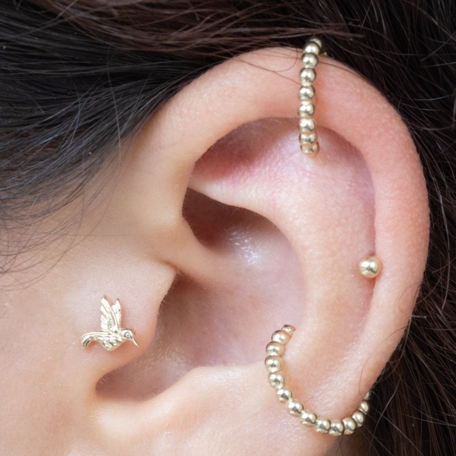 14k Yellow Gold Hummingbird Flat Back Stud Earrings - Dainty & Elegant Jewelry for Everyday Wear, Gifts & Special Occasions