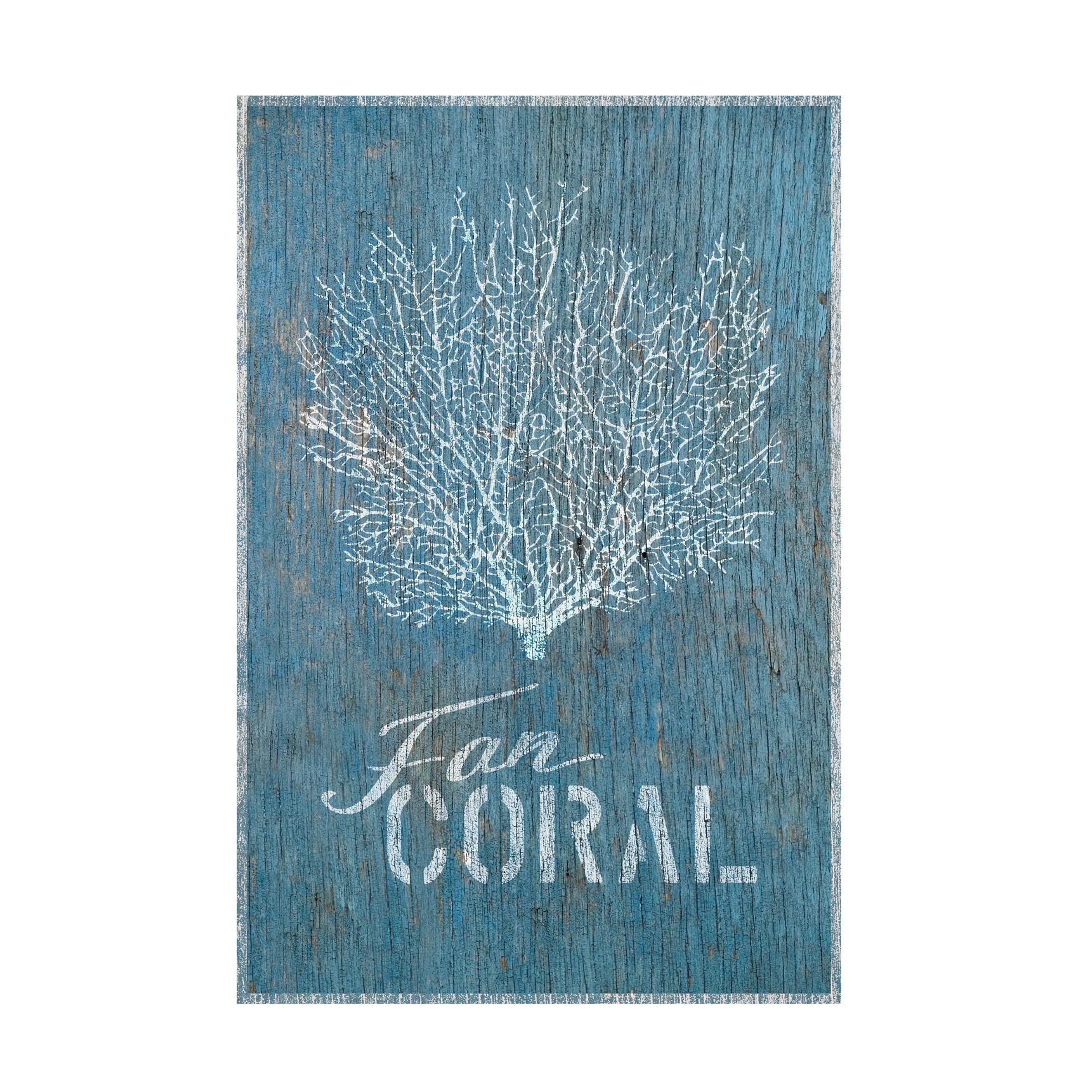 Trademark Fine Art 'Fan Coral on Blue Wood' Canvas Wall Art by Cora Niele - Perfect for Living Room, Bedroom & Office Decor
