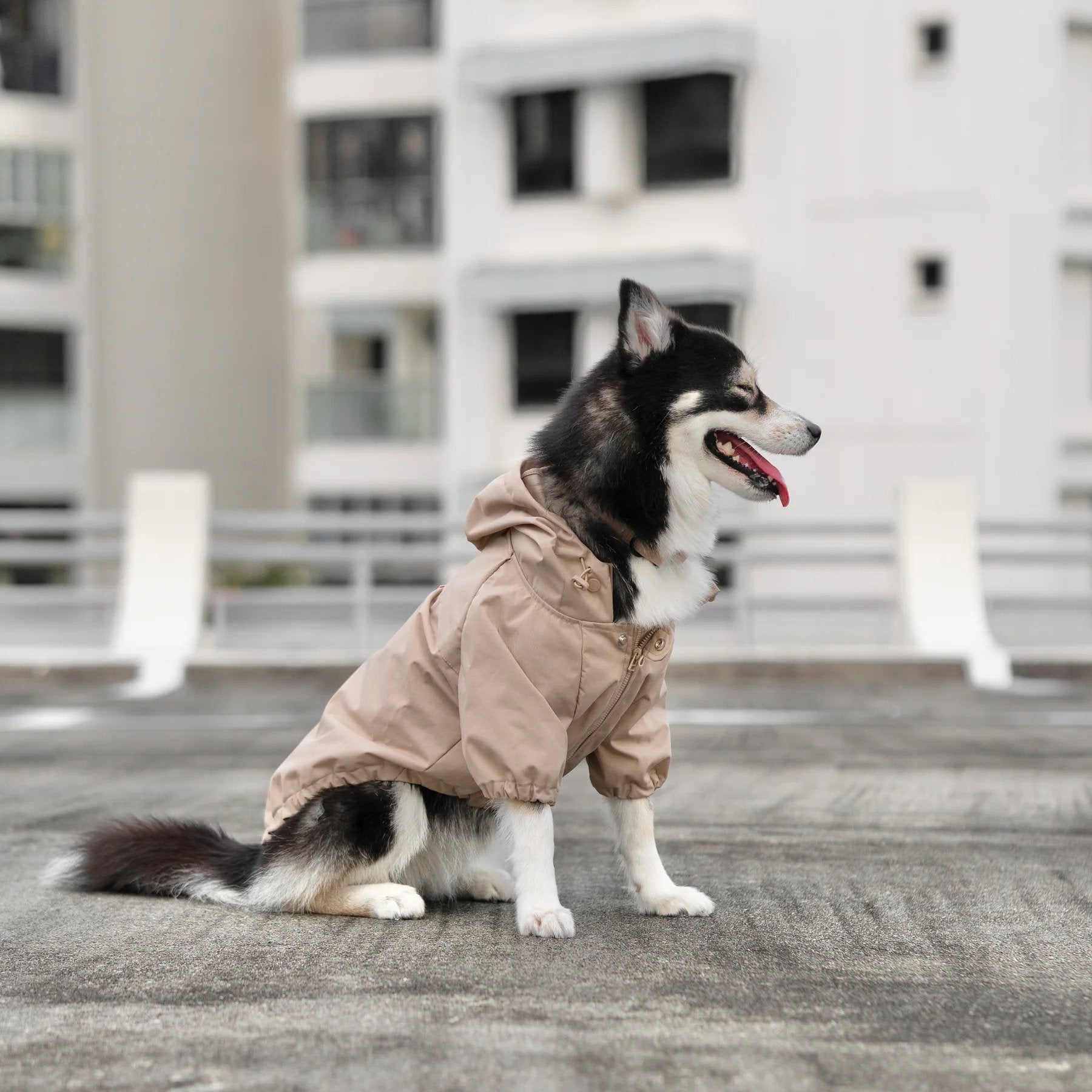Waterproof Dog Raincoat for Small & Medium Dogs - Lightweight & Reflective Pet Rain Jacket for Walking in Brooklyn Parks & Urban Adventures