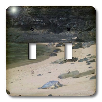 3D Toggle Switch Cover - Hawaii Sea Turtles Design, Double Rocker Switch Plate Decor for Home, Office, Bedroom (3dRose LLC lsp_22975_2) | Perfect for Beach House, Kids Room & Tropical Theme Decor