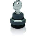 RAFIX 22 FS+ Keylock Switch Compact with Round Collar - 30.275.221/0800 Model - Durable Electrical Switch for Industrial Control Panels & Machinery